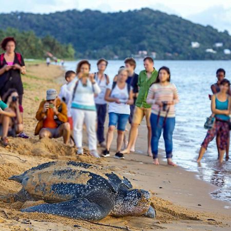 Le Petit Marin Des Salines A 0 Metre De La Plage Remire-Montjoly 外观 照片